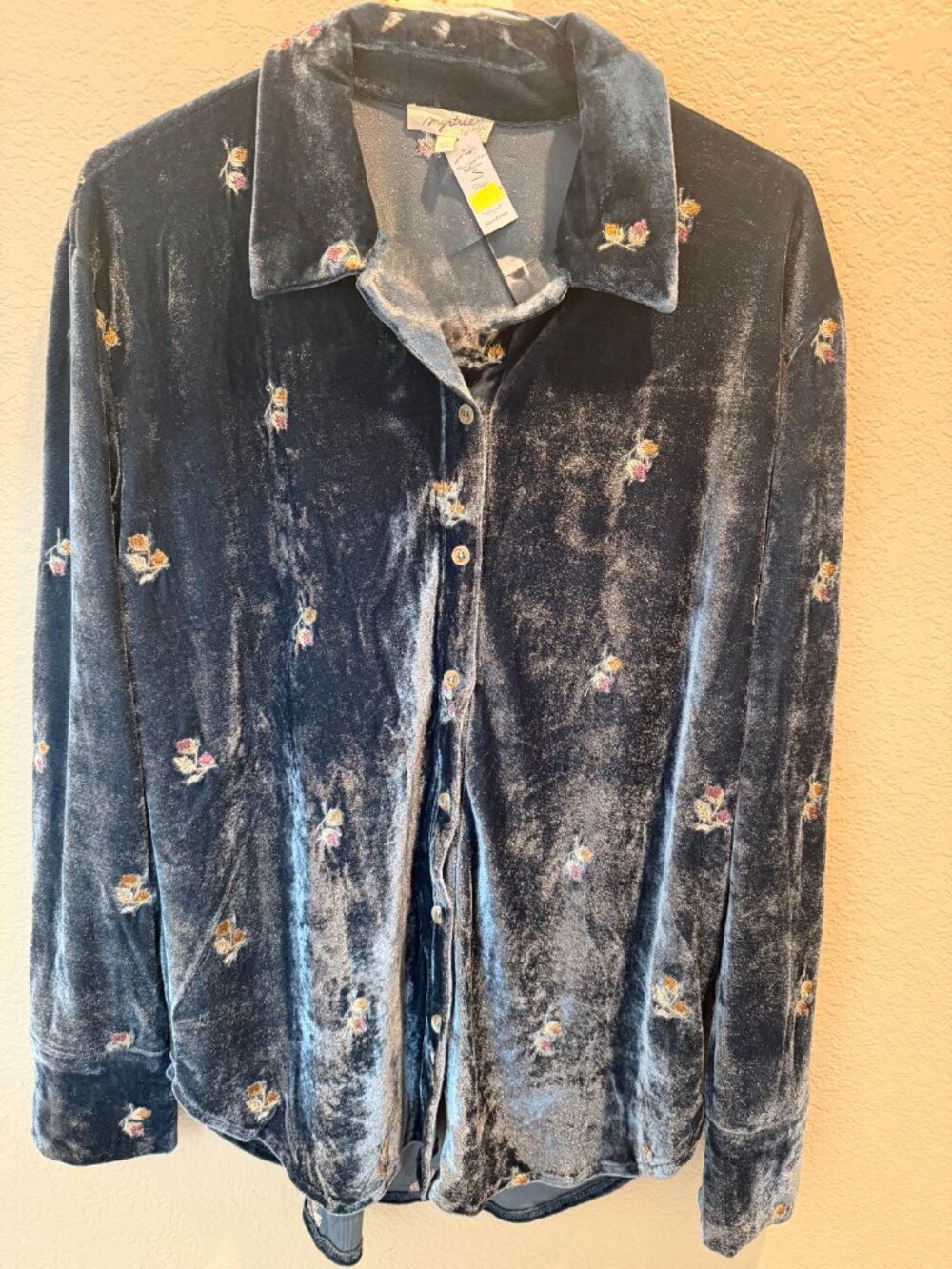NWT Mystree Velvet Blouse
